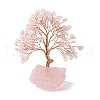 Natural Rose Quartz Tree Display Decoration DJEW-G027-08RG-03-2