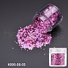 Holographic Nail Art Sequins Glitter MRMJ-K006-08-05-2