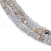 Natural Ang Beads Strands G-RM2025-A31-2mm-4