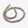 Natural Tibetan Turtle Back Pattern dZi Agate Beads Strands G-F354-04-2
