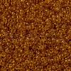 MIYUKI Round Rocailles Beads SEED-X0056-RR0133-3
