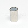 304 Stainless Steel Magnetic Clasps with Glue-in Ends STAS-K006-03C-2