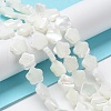 Natural Trochus Shell Beads Strands X-BSHE-P033-07-3