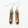 Fashion Natural & Synthetic Gemstone Dangle Earrings EJEW-G073-M-2