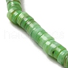 Natural Shell Beads BSHE-B003-13A-03-3