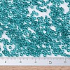 MIYUKI Round Rocailles Beads SEED-X0054-RR2405-3