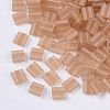 2-Hole Glass Seed Beads SEED-T003-02C-02-1