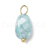20Pcs Opaque Baking Painted Crackle Glass Charms PALLOY-JF03952-01-2