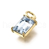 Brass Glass Charms KK-V011-36G-B-2