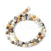 Natural Bamboo Leaf Agate Round Beads Strands G-M248-4mm-04-5