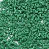 Two Cut Glass Seed Beads CSDB47-2