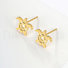 Stainless Steel Stud Earring LM7211-1-3