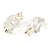 Transparent Resin Pendants RESI-E028-01G-09-3