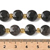 Natural Silver Sheen Obsidian Beads Strands G-G271-C08-10mm-5