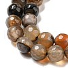 Natural Agate Beads Strands G-C082-A01-14-4