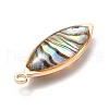 Brass Enamel Pendants KK-K252-10G-02-4