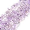 Natural Amethyst Chip Bead Strands X-G-M205-35-3