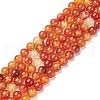 Natural Carnelian Beads Strands G-F718-07-1