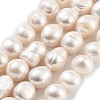 Natural Cultured Freshwater Pearl Beads Strands PEAR-P062-30F-2