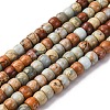 Natural Aqua Terra Jasper Beads Strands G-L624-D03-10x8mm-2