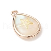 Natural Paua Shell Teardrop Pendants PALLOY-JF03762-02-3
