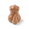 Resin Otter with Fish Figurines Ornament DJEW-E015-02G-3
