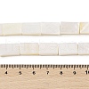 Natural Freshwater Shell Beads Strands BSHE-H018-03-4