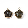 Natural Labradorite Pendants G-S359-381-3