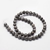 Natural Map Stone/Picasso Stone/Picasso Jasper Round Beads Strands G-E329-10mm-47-4
