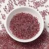 12/0 Transparent Glass Seed Beads X-SEED-F003-03C-03-2