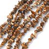 Natural Picture Jasper Beads Strands G-G0003-B16-1