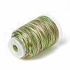 3-Ply Segment Dyed Nylon Thread Cord NWIR-F011-01D-2
