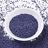 MIYUKI Delica Beads SEED-X0054-DB0377-2