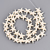 Gemstone Beads Strands TURQ-S210-1-2