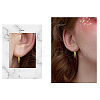 SHEGRACE 925 Sterling Silver Hoop Earrings JE899B-5