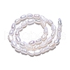 Natural Cultured Freshwater Pearl Beads Strands X-PEAR-N014-03F-3