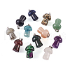Yilisi 12Pcs 12 Style Natural Gemstone Pendants G-YS0001-20-11