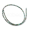 Natural African Turquoise(Jasper) Beads Strands G-H255-08-3