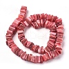 Freshwater Shell Beads Strands BSHE-O017-10-2