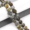 Natural Sunstone Stone Beads Strands G-NH0021-A05-01-2