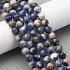 Natural Sodalite Beads Strands G-R015-B01-6mm-1