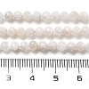 Natural Rainbow Moonstone Beads Strands G-G161-A01-03-5