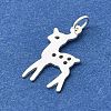 925 Sterling Silver Charms STER-B007-01S-03-2