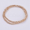 Electroplate Glass Beads Strands GLAA-F077-PL06-2