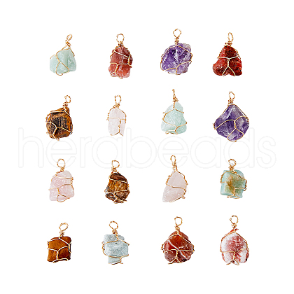 HOBBIESAY 16Pcs Rough Raw Natural Mixed Stone Pendants FIND-HY0001-31-1