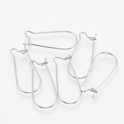 Tarnish Resistant 304 Stainless Steel Hoop Earrings STAS-T031-01-1