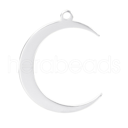 304 Stainless Steel Pendants PW-WG9E113-01-1