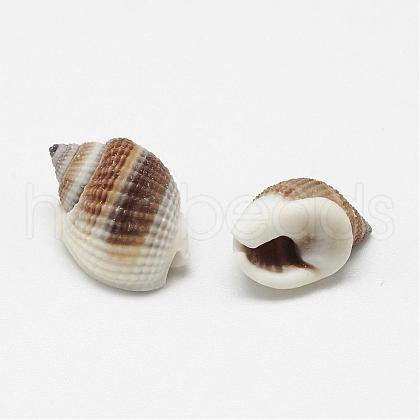Natural Spiral Shell Beads BSHE-S613-02-1