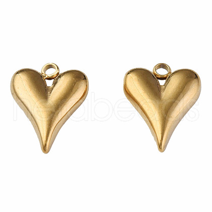 304 Stainless Steel Pendants STAS-N087-57G-1