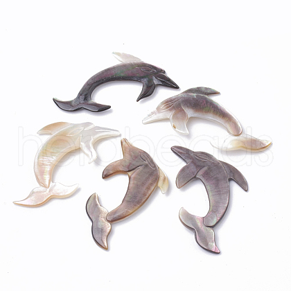 Black Lip Shell Cabochons SSHEL-Q303-003-1
